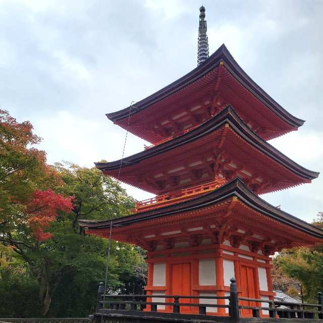 f:id:atoriatoriatori:20241206085018j:image