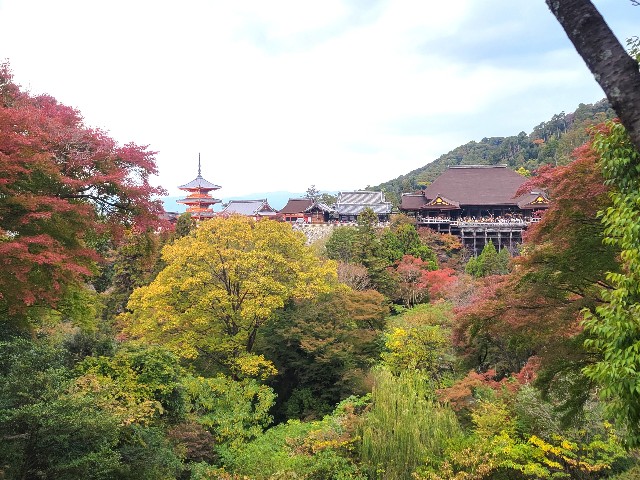 f:id:atoriatoriatori:20241206085039j:image