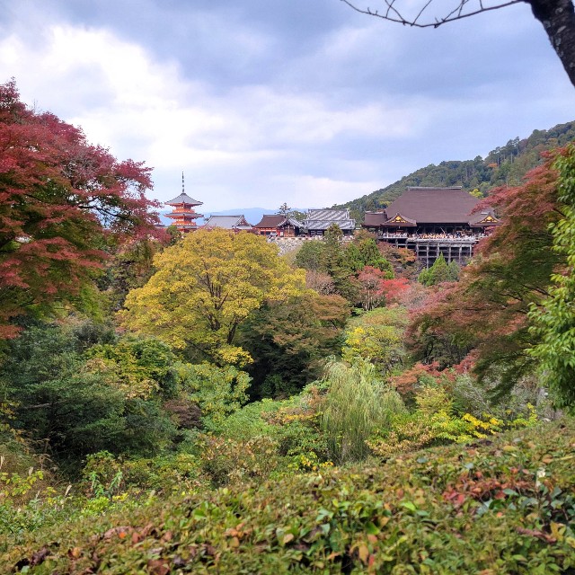 f:id:atoriatoriatori:20241206085053j:image