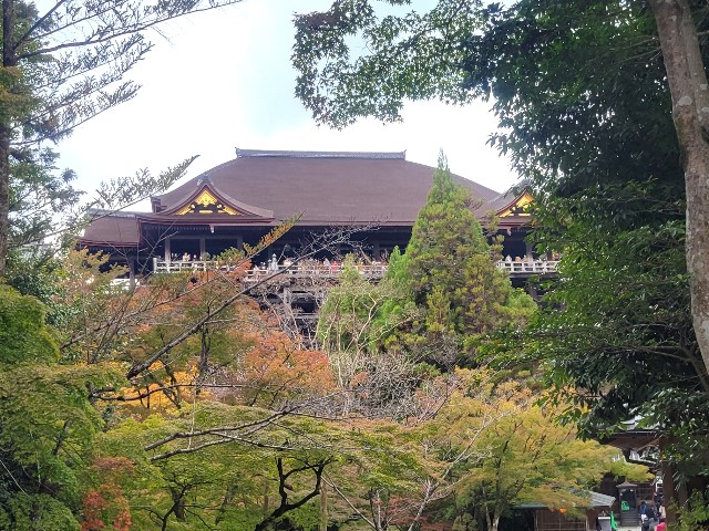 f:id:atoriatoriatori:20241206085813j:image