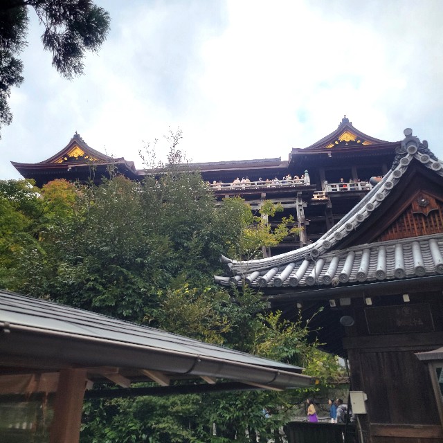 f:id:atoriatoriatori:20241206085821j:image