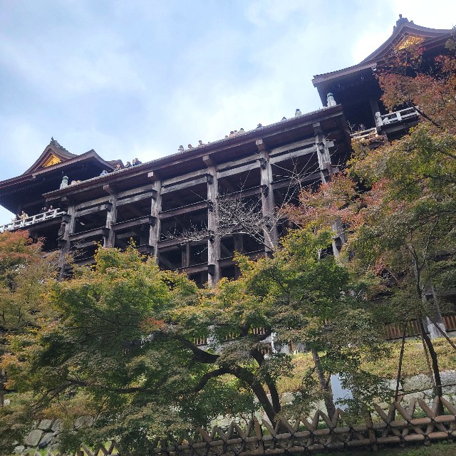 f:id:atoriatoriatori:20241206085829j:image