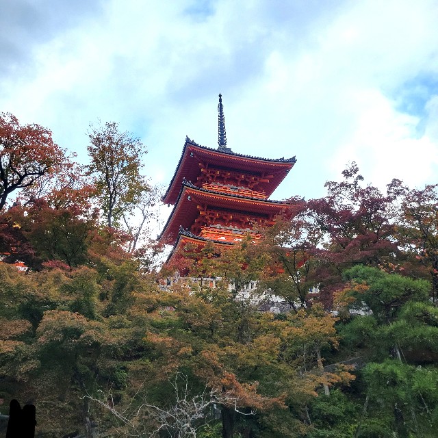 f:id:atoriatoriatori:20241206090140j:image
