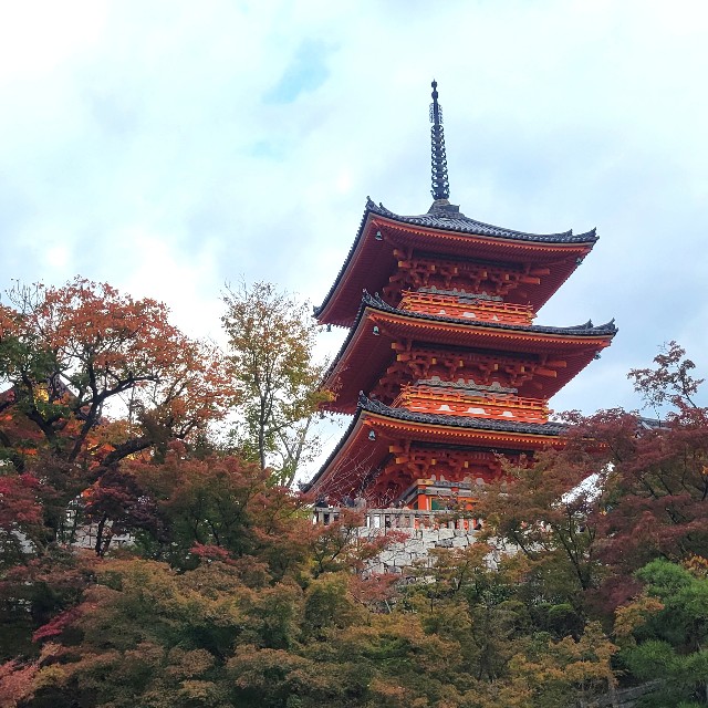 f:id:atoriatoriatori:20241206090147j:image