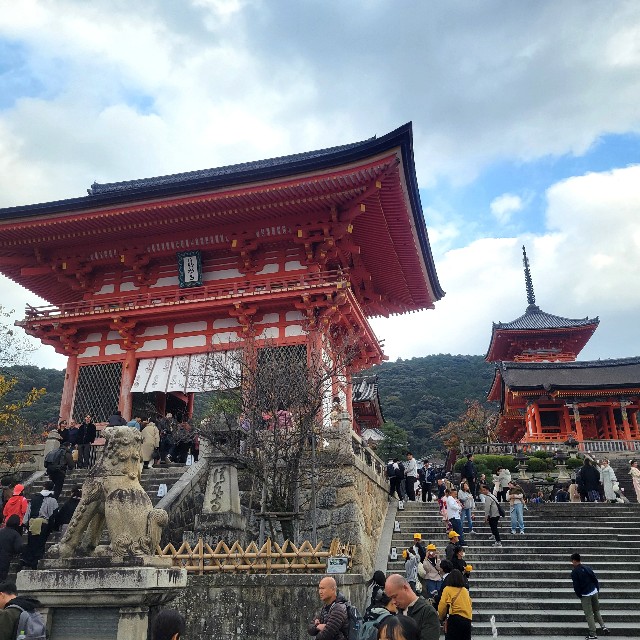 f:id:atoriatoriatori:20241206092941j:image