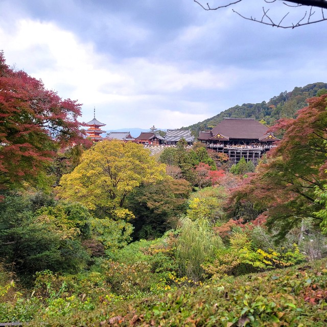 f:id:atoriatoriatori:20241206094321j:image