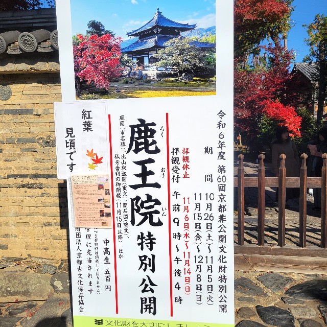 f:id:atoriatoriatori:20241211105114j:image