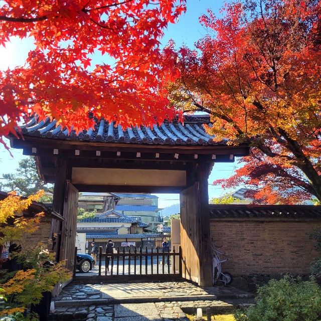 f:id:atoriatoriatori:20241211110623j:image