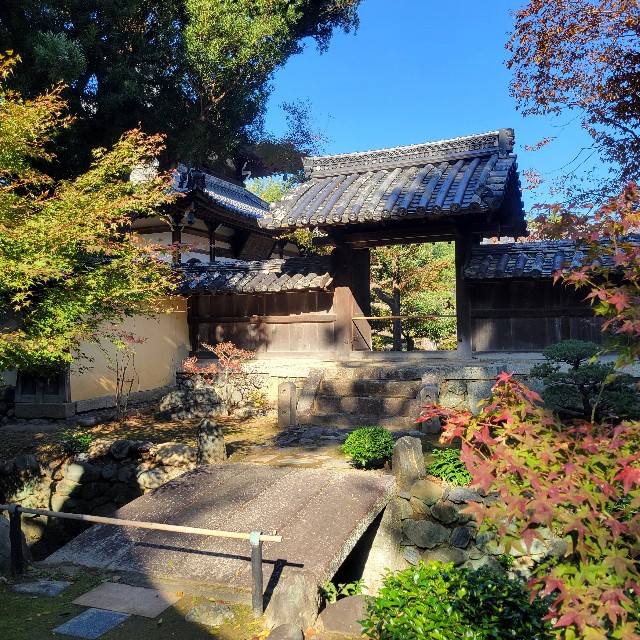 f:id:atoriatoriatori:20241211121715j:image