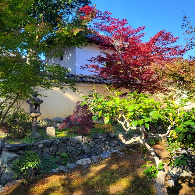 f:id:atoriatoriatori:20241211121820j:image