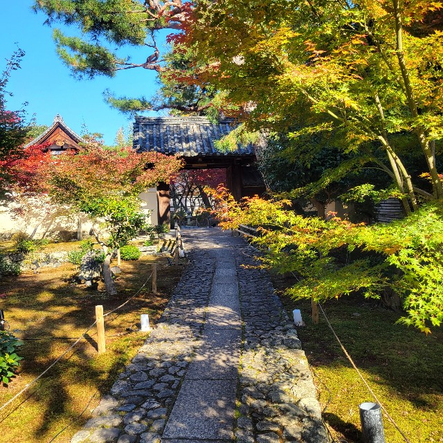 f:id:atoriatoriatori:20241211121856j:image