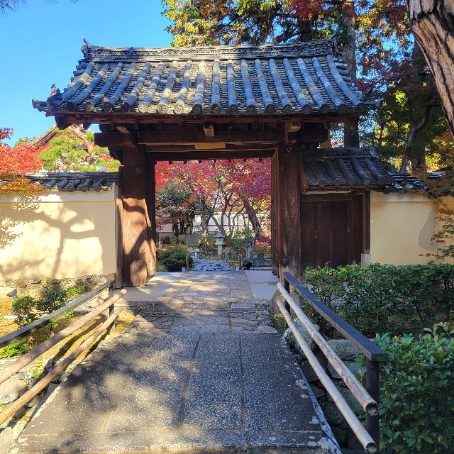 f:id:atoriatoriatori:20241211122051j:image