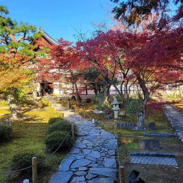 f:id:atoriatoriatori:20241211122100j:image