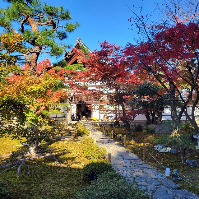 f:id:atoriatoriatori:20241211122108j:image