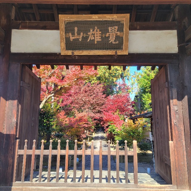 f:id:atoriatoriatori:20241211122503j:image