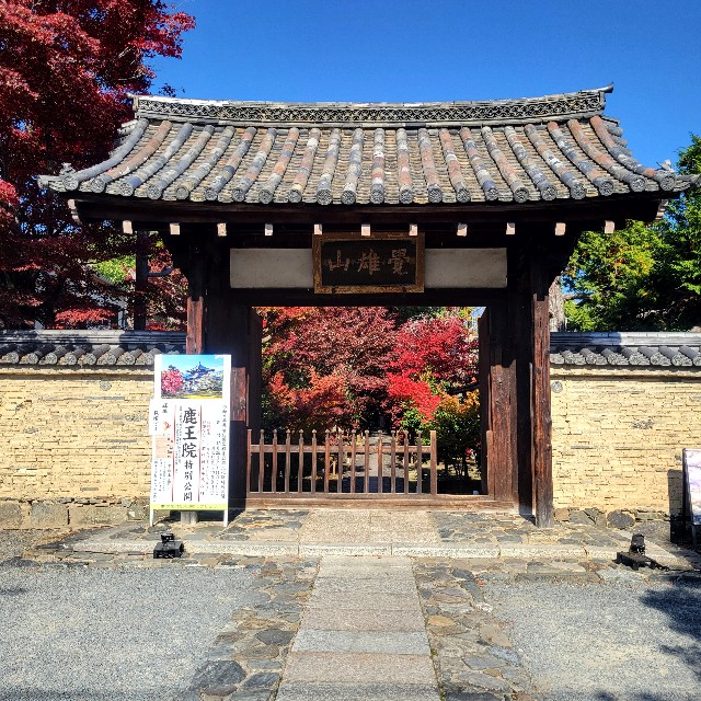 f:id:atoriatoriatori:20241211122907j:image