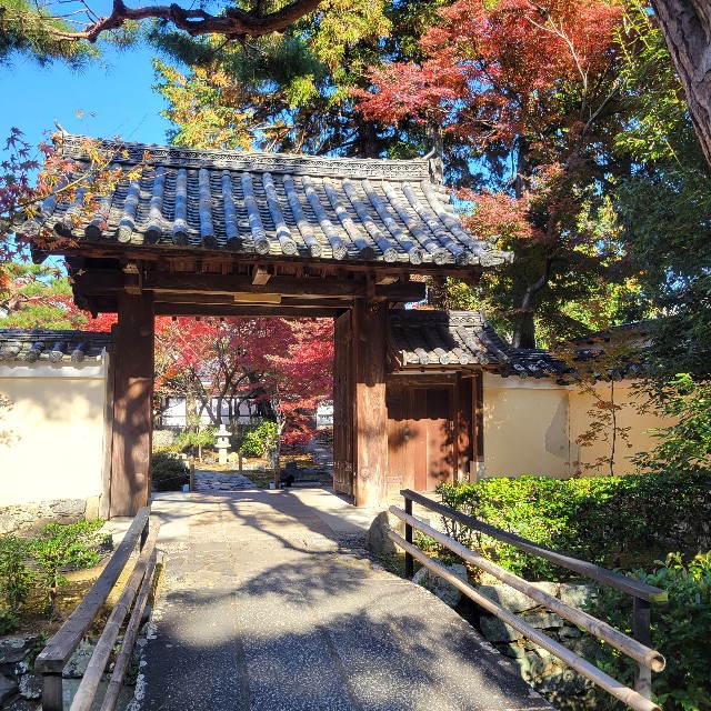 f:id:atoriatoriatori:20241211123825j:image