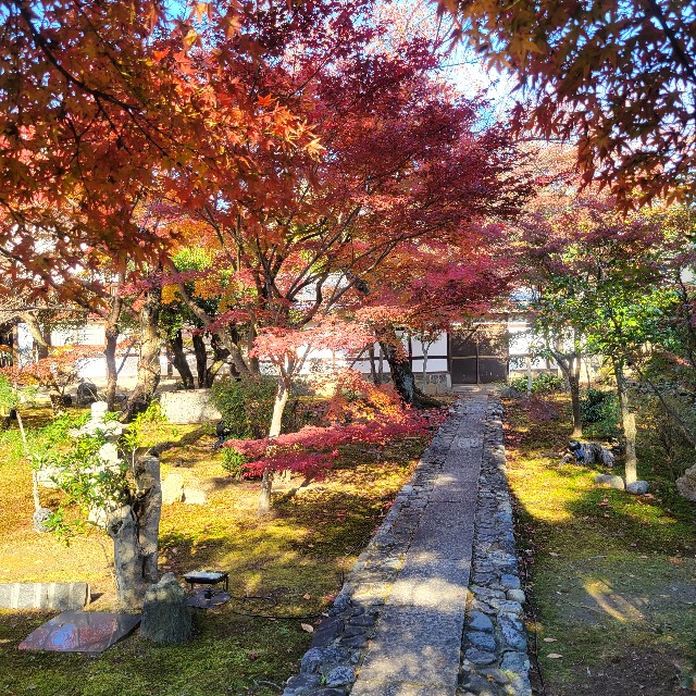 f:id:atoriatoriatori:20241211123844j:image