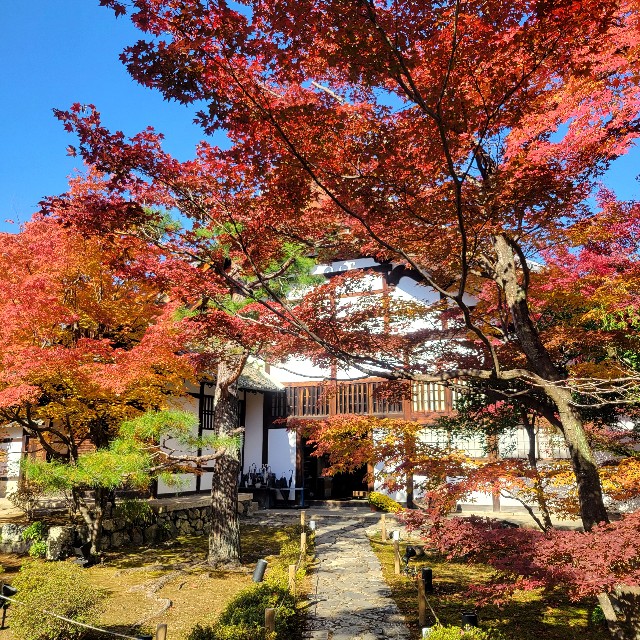 f:id:atoriatoriatori:20241211135932j:image