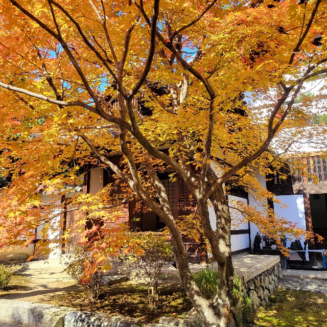 f:id:atoriatoriatori:20241211140022j:image