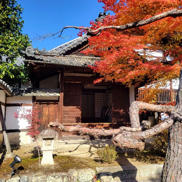 f:id:atoriatoriatori:20241211140111j:image