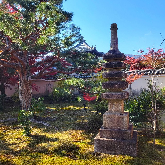 f:id:atoriatoriatori:20241211142525j:image