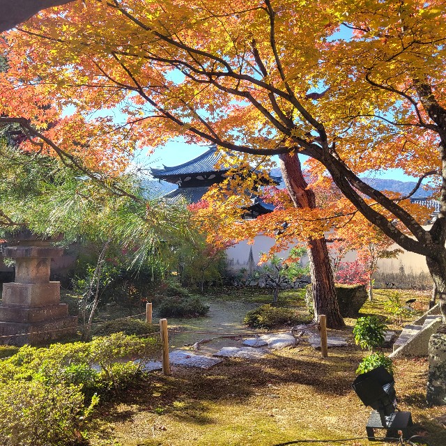 f:id:atoriatoriatori:20241211142910j:image