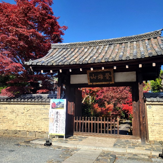 f:id:atoriatoriatori:20241211143901j:image