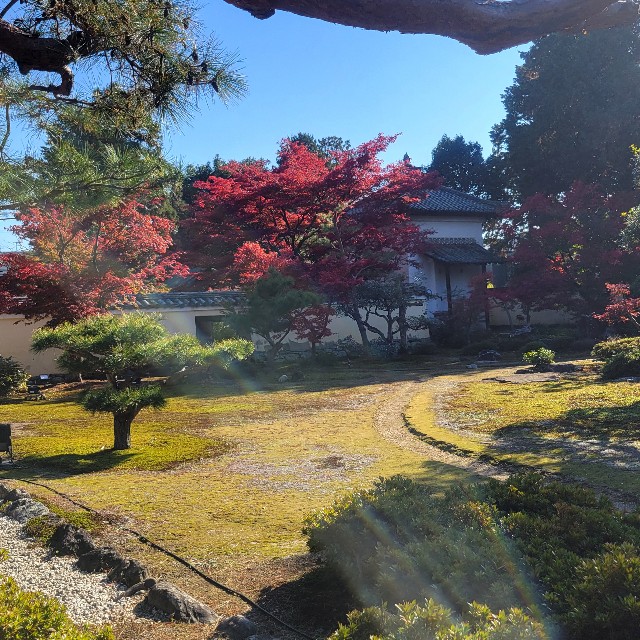 f:id:atoriatoriatori:20241211161944j:image