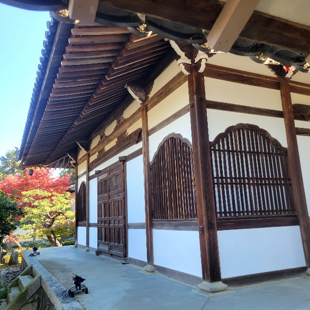 f:id:atoriatoriatori:20241211164333j:image