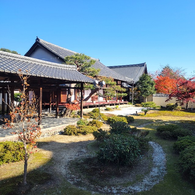 f:id:atoriatoriatori:20241211164357j:image