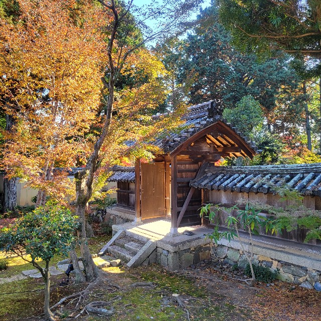 f:id:atoriatoriatori:20241211175011j:image