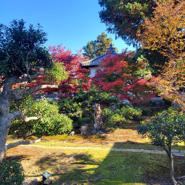 f:id:atoriatoriatori:20241211175031j:image