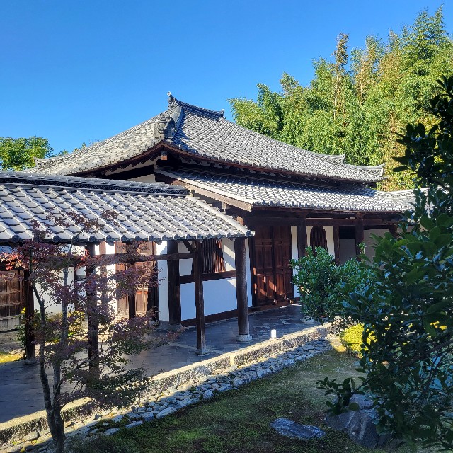 f:id:atoriatoriatori:20241211200847j:image
