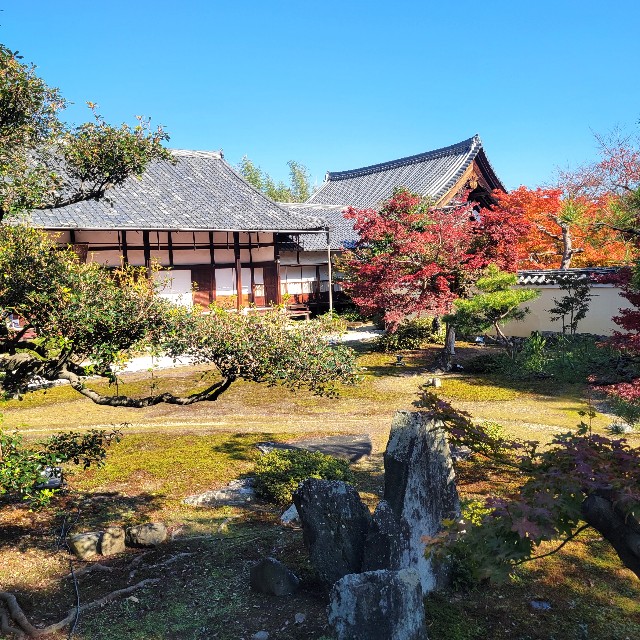 f:id:atoriatoriatori:20241211201518j:image