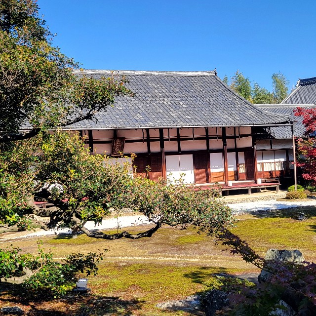 f:id:atoriatoriatori:20241211201528j:image