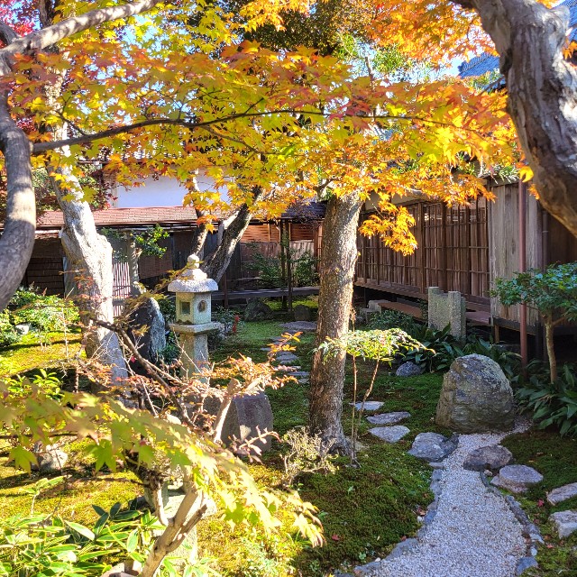 f:id:atoriatoriatori:20241212090110j:image