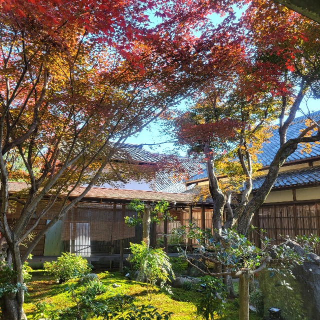 f:id:atoriatoriatori:20241212090132j:image
