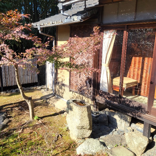 f:id:atoriatoriatori:20241212090145j:image