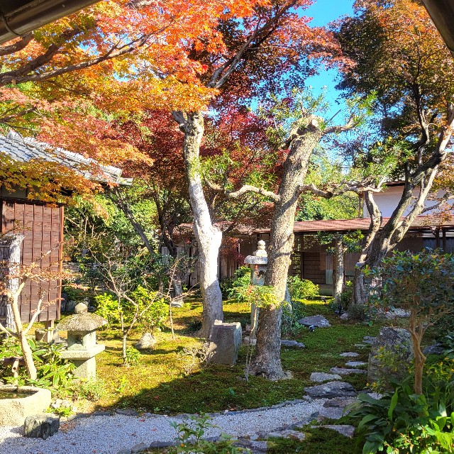f:id:atoriatoriatori:20241212090944j:image