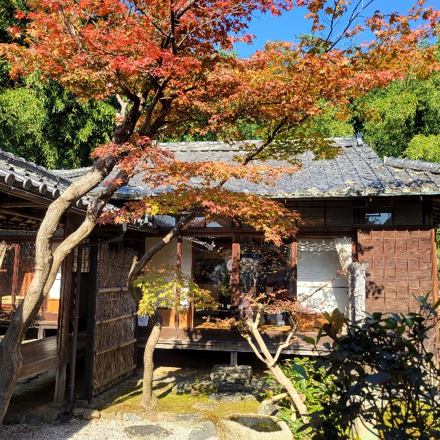 f:id:atoriatoriatori:20241212090956j:image
