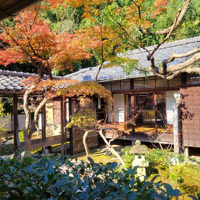 f:id:atoriatoriatori:20241212091550j:image
