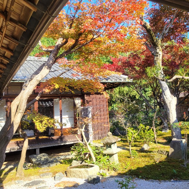 f:id:atoriatoriatori:20241212091846j:image