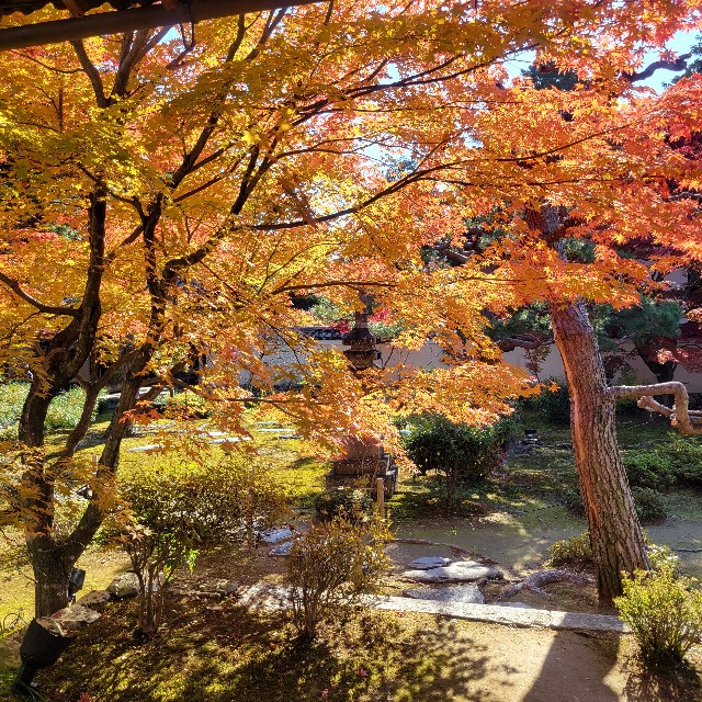 f:id:atoriatoriatori:20241212095108j:image
