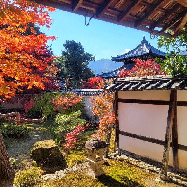 f:id:atoriatoriatori:20241212095116j:image