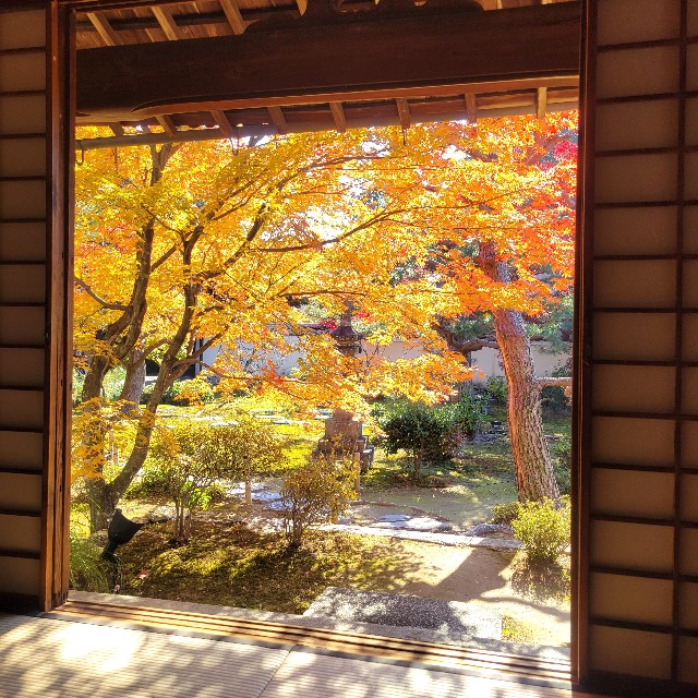f:id:atoriatoriatori:20241212095249j:image