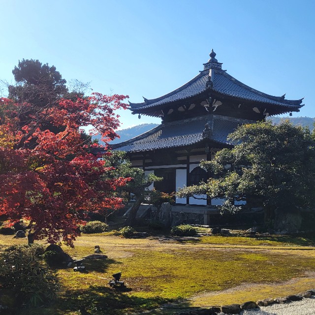 f:id:atoriatoriatori:20241212095500j:image