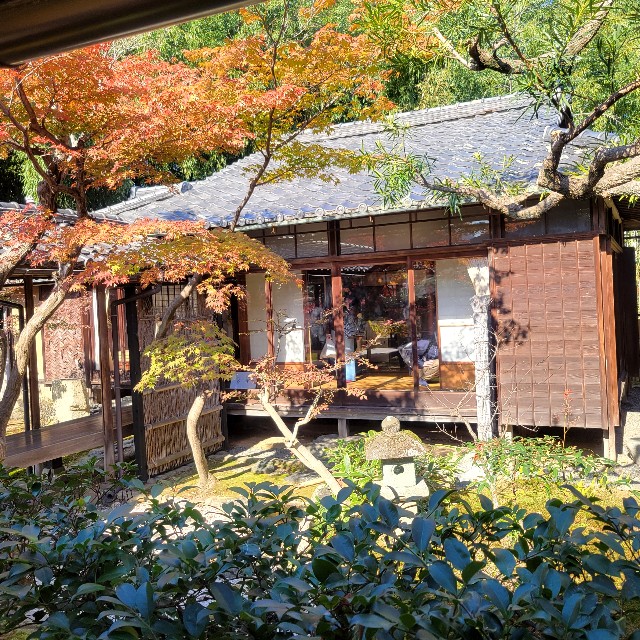 f:id:atoriatoriatori:20241212102144j:image