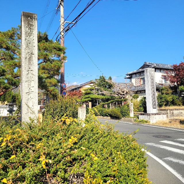 f:id:atoriatoriatori:20241212210756j:image
