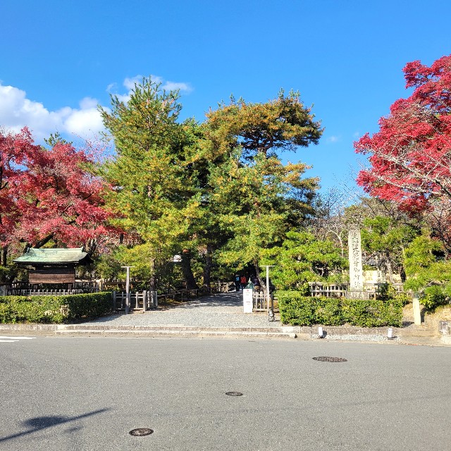 f:id:atoriatoriatori:20241212210812j:image